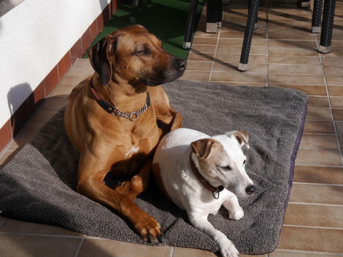 Ferienwohnung Keiner Wassenach Zewnętrze zdjęcie